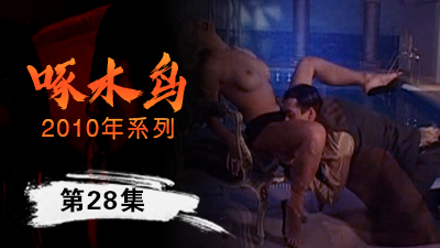 私下調教全過程啄木鸟10年系列-第28集}